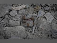 
      
      Several injured after building collapses in Idaho
      
      