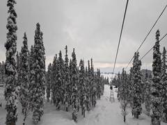 
      
      J-K: Gulmarg a winter wonderland for tourists and skiers
      
      