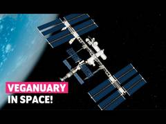
      
      Veganuary soars in popularity 
      
      