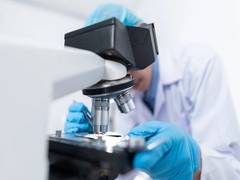 
      
      Study finds how brain responds to reward 
      
      