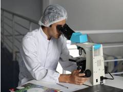 
      
      Study reveals fatty acids hold clue to creating memories
      
      