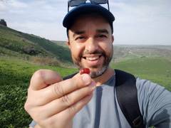 
      
      Hiker stumbles upon 2,800-year-old Scarab
      
      