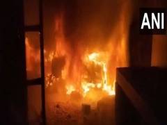 
      
      'Shoot-at-sight' order issued in Nainital village after violence
      
      