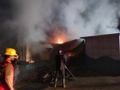 
      
      Six goats charred to death, one person injured in Thane's fire
      
      