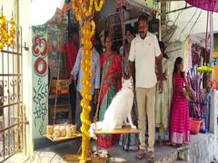
      
      Family offers jaggery equal to pet dog's weight to tribal deity 
      
      