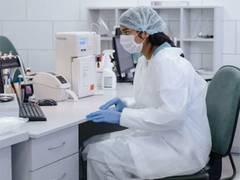 
      
      Researchers provide new understanding on bone diseases
      
      