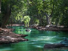 
      
      Study finds temperature influence microbial competition in rivers
      
      