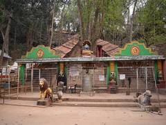 
      
      Gupteswar forest declared as fourth bio-diversity heritage site i
      
      