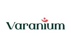 
      
      Varanium Cloud reports Consolidated Net Profit of Rs 87.68 crore 
      
      
