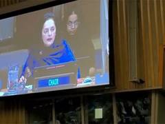 
      
      UN: India chairs 62nd Session of Commission for Social Developmen
      
      