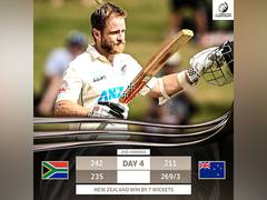 
      
      Williamson, Young guide NZ to victory over SA in Hamilton Test.
      
      