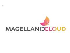 
      
      Magellanic Cloud Consolidated Q3FY24 Net Profit
      
      