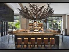 
      
      Adrift Kaya Earns Coveted Spot on World's 50 Best Discovery List!
      
      