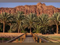 
      
      Inaugural Alula Future Culture Summit celebrates innovative ideas
      
      
