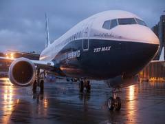 
      
      Boeing removes head of 737 MAX programme amid safety concerns
      
      
