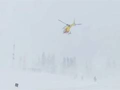 
      
      One foreigner dead, another injured as avalanche hits Gulmarg 
      
      