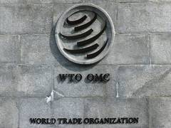 
      
      India pushes for WTO backing for developing nations
      
      