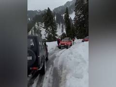 
      
      Stranded trekkers rescued in J-K's Poonch amid harsh weather
      
      
