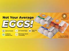 
      
      Kenko Eggs: Ensuring Transparency, Trust, Nutritional Excellence
      
      