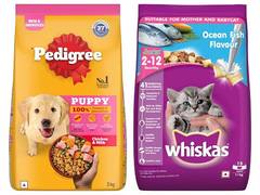 
      
      Mars Petcare India Clinches 'Excellence in Pet Care' Award
      
      
