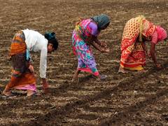 
      
      Maharashtra: All India Kisan Sabha holds farmers convention amid 
      
      