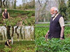 
      
      PM Modi spends time at tea garden in Assam, promotes tourism
      
      
