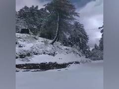 
      
      Himachal Pradesh: Tourists throng Shimla city on weekend
      
      
