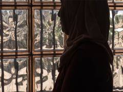 
      
      Deinstitutionalise mental health care: WHO
      
      