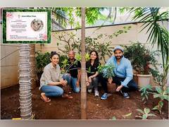 
      
      Planting Trees with Grow Billion Trees to Offset Carbon Footprint
      
      