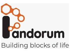 
      
      Pandorum Technologies secures USD 11 million investment 
      
      