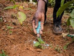 
      
      India allows urea import by state-owned cos until March 2025
      
      