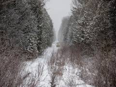 
      
      2 indicted in death of Indian migrant family on Canada-US border
      
      