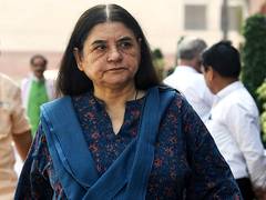 
      
      LS Polls 2024: BJP fields Maneka Gandhi from Sultanpur
      
      