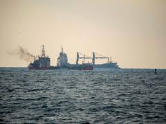 
      
      Researchers uncover effects of ship noise on sea mammal comm
      
      