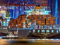 
      
      FTAs and new markets will increase India’s export
      
      
