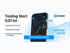 
      
      Exploring All Forex Bonuses Available at Zetradex
      
      