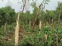 
      
      One dead, seven families shifted to relief camps due to heavy...
      
      