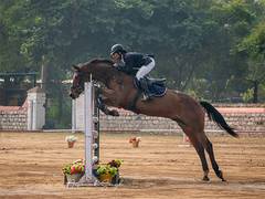 
      
      Sthavi Asthana emerges champion in National Eventing C'ship
      
      