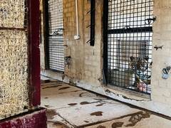 
      
      Coolers, Khus curtains installed to help animals beat the heat 
      
      