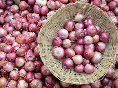 
      
      India defies onion export ban extension
      
      