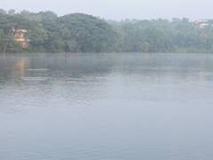 
      
      The Art of Living Revives Radha Kunj Lake: A Testament
      
      