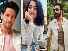 
      
      Sidharth Malhotra, Vicky Kaushal send warm wishes to Rashmika 
      
      