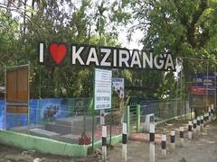 
      
      Kaziranga National Park witnesses upsurge in tourist footfall
      
      