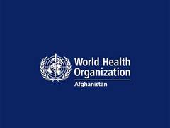 
      
      Afghanistan's hospitals suffer from bed shortage
      
      