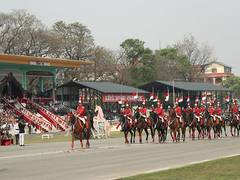 
      
      Ghode Jatra: Nepal organises horse racing festival
      
      