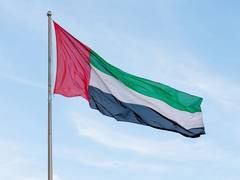 
      
      UAE: Golden Heart Initiative heals 50 children globally
      
      