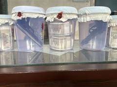 
      
      Punjab: Police arrest 3 in bank heist through manhunt across
      
      