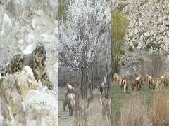 
      
      PoK: Rise in average temperatures shifts season cycle in GB
      
      