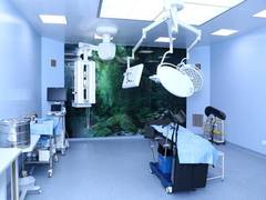 
      
      Radiation therapy facility started in Lady Hardinge Hospital
      
      