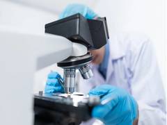 
      
      Starving cells take over protein transport stations: Study 
      
      